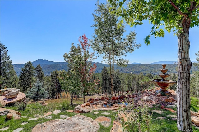 28154 Belle Mont Trl, Conifer, CO 80433 - view of mountain backdrop