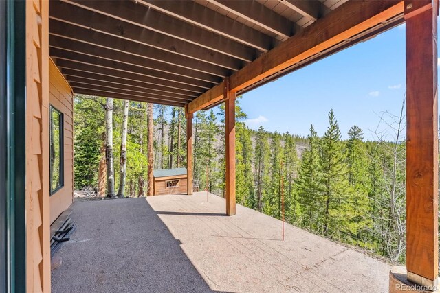 278 Snowshoe Cir, Breckenridge, CO 80424 - photo 33