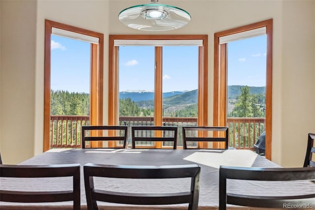 278 Snowshoe Cir, Breckenridge, CO 80424 - photo 17