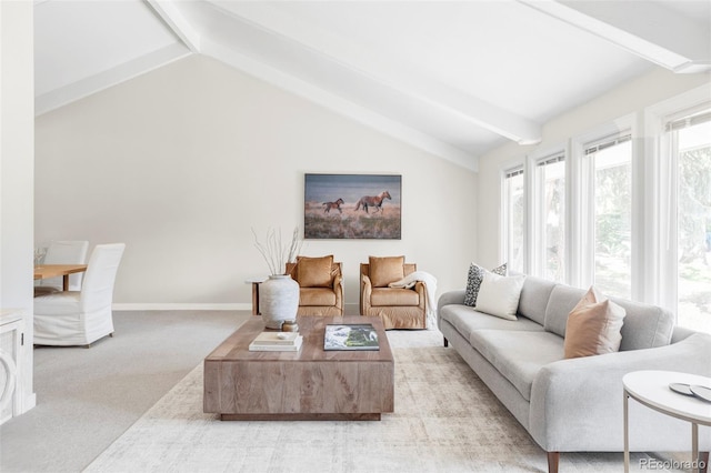 4821 W 102nd Ave, Westminster, CO 80031 - living room with light colored carpet