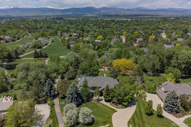 8439 Greenwood Dr, Niwot, CO 80503 - photo 39