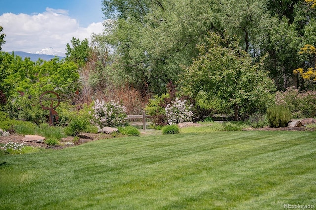 8439 Greenwood Dr, Niwot, CO 80503 - photo 46