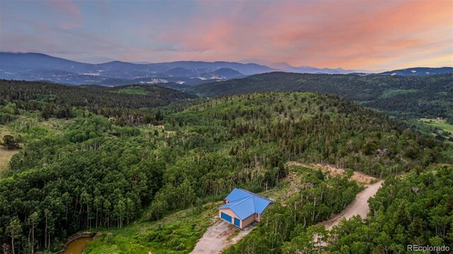 556 Pisgah Lake Rd, Idaho Springs, CO 80427 - photo 1
