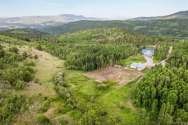 556 Pisgah Lake Rd, Idaho Springs, CO 80427 - photo 2