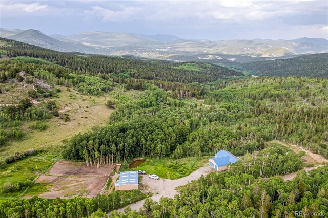 556 Pisgah Lake Rd, Idaho Springs, CO 80427 - photo 3