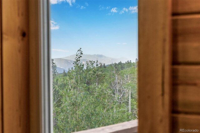 556 Pisgah Lake Rd, Idaho Springs, CO 80427 - photo 12
