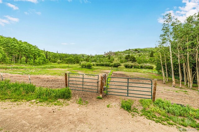 556 Pisgah Lake Rd, Idaho Springs, CO 80427 - photo 32