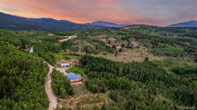556 Pisgah Lake Rd, Idaho Springs, CO 80427 - photo 39