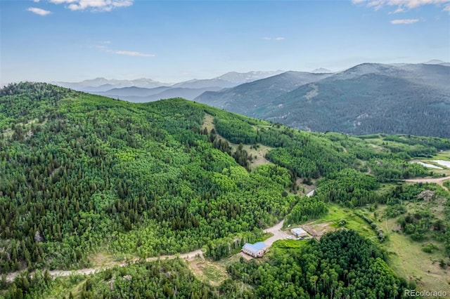 556 Pisgah Lake Rd, Idaho Springs, CO 80427 - photo 41