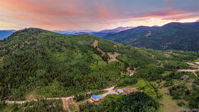 556 Pisgah Lake Rd, Idaho Springs, CO 80427 - photo 43