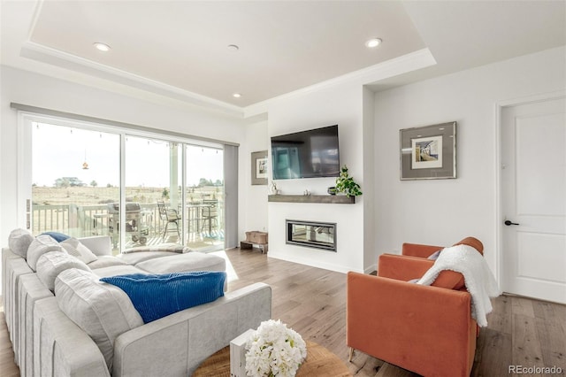 living room with a glass covered fireplace, a tray ceiling, recessed lighting, and wood finished floors