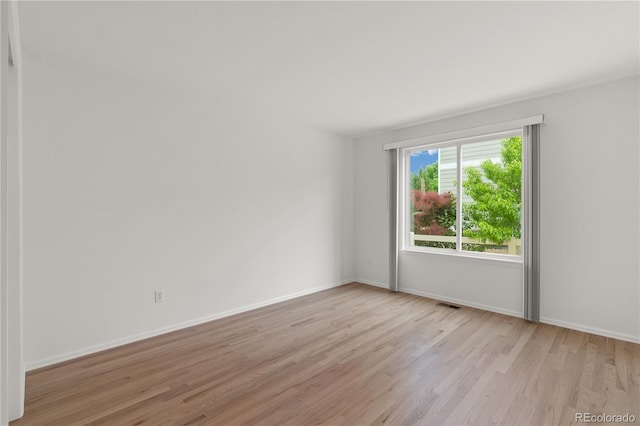 1638 Hallet Peak Dr, Longmont, CO 80503 - photo 23