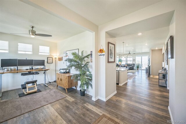 17788 Olive St, Broomfield, CO 80023 - photo 9
