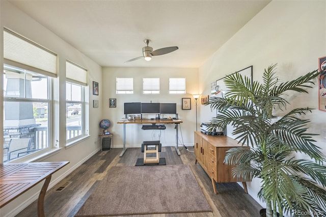 17788 Olive St, Broomfield, CO 80023 - photo 10