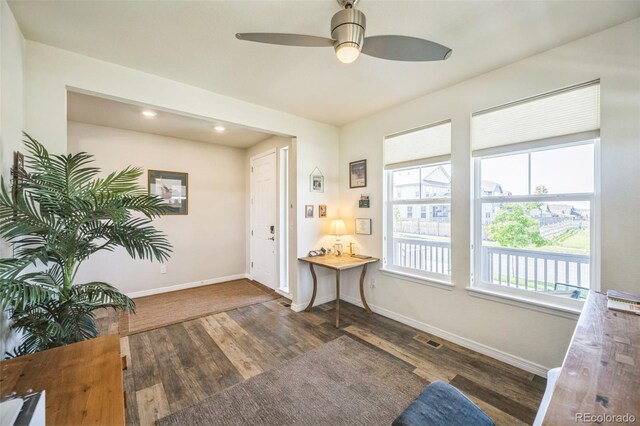 17788 Olive St, Broomfield, CO 80023 - photo 11