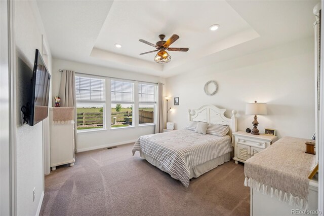 17788 Olive St, Broomfield, CO 80023 - photo 19