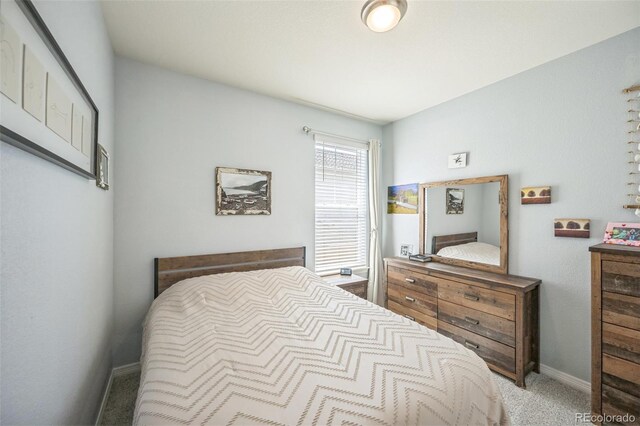 17788 Olive St, Broomfield, CO 80023 - photo 20