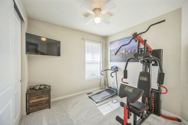 17788 Olive St, Broomfield, CO 80023 - photo 26