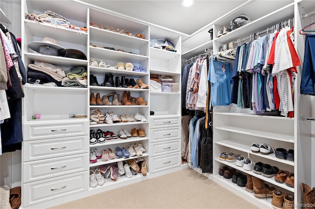 view of spacious closet