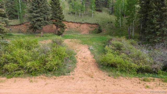 Listing photo 3 for 1230 Pathfinder Rd, Florissant CO 80816