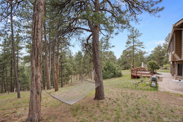 4992 White House Trl, Evergreen, CO 80439 - view of green lawn with a wooden deck and a patio area