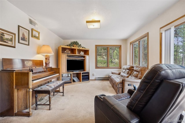 4992 White House Trl, Evergreen, CO 80439 - living area with light carpet and baseboard heating