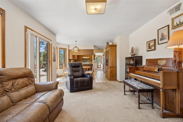4992 White House Trl, Evergreen, CO 80439 - living area with light colored carpet