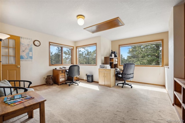 4992 White House Trl, Evergreen, CO 80439 - office area with attic access, carpet, and baseboards