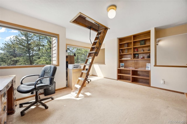 4992 White House Trl, Evergreen, CO 80439 - office featuring carpet floors and baseboards
