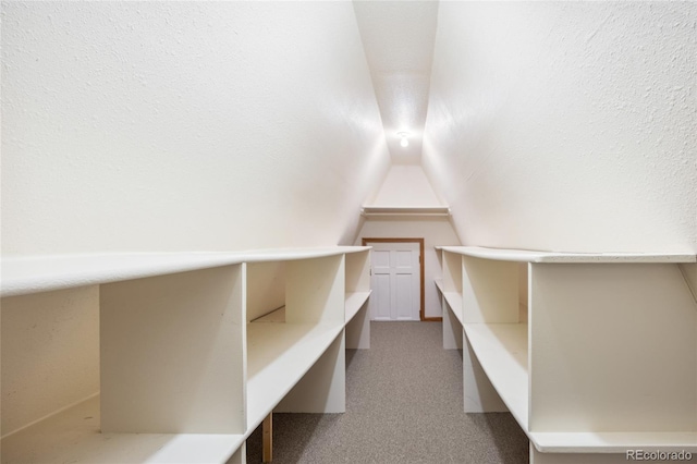 4992 White House Trl, Evergreen, CO 80439 - walk in closet featuring vaulted ceiling and carpet