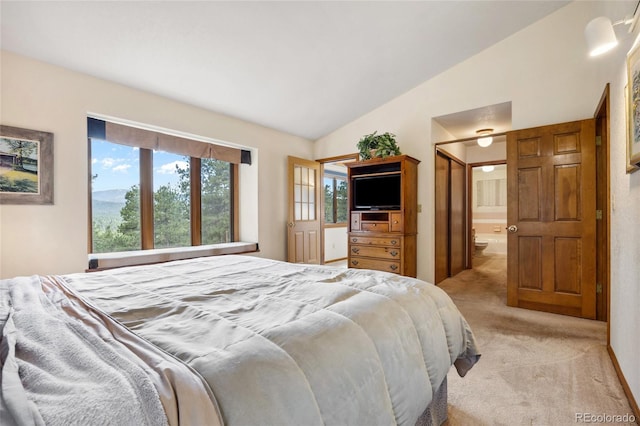 4992 White House Trl, Evergreen, CO 80439 - bedroom with lofted ceiling, light carpet, and ensuite bathroom