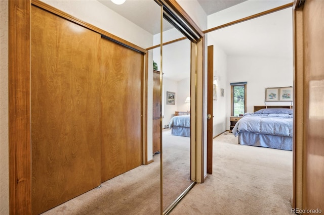 4992 White House Trl, Evergreen, CO 80439 - corridor with light colored carpet