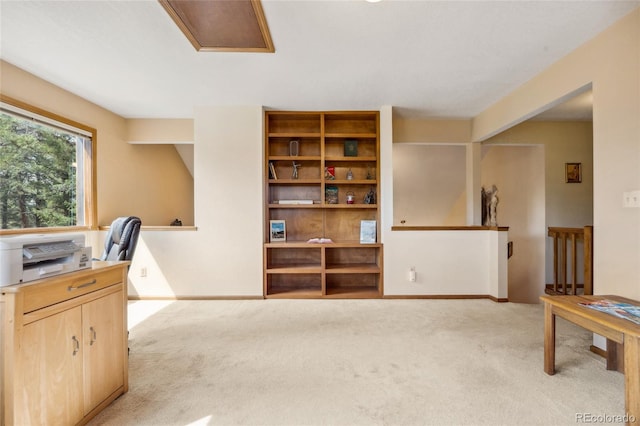 4992 White House Trl, Evergreen, CO 80439 - office space with light carpet and baseboards