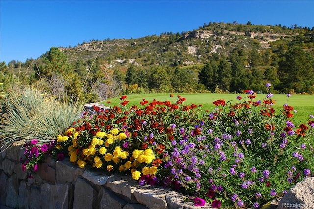 view of property's community with a mountain view and a yard