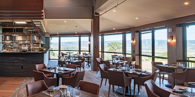 dining room featuring plenty of natural light, a mountain view, wood-type flooring, and lofted ceiling