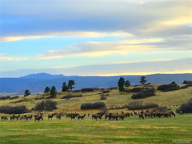 view of mountain feature with a rural view