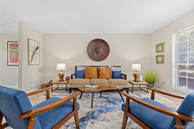 1204 Catalpa Cir, Broomfield, CO 80020 - living room with a textured ceiling and baseboards