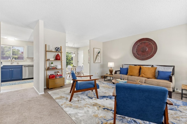 1204 Catalpa Cir, Broomfield, CO 80020 - living area featuring plenty of natural light, a textured ceiling, and light colored carpet