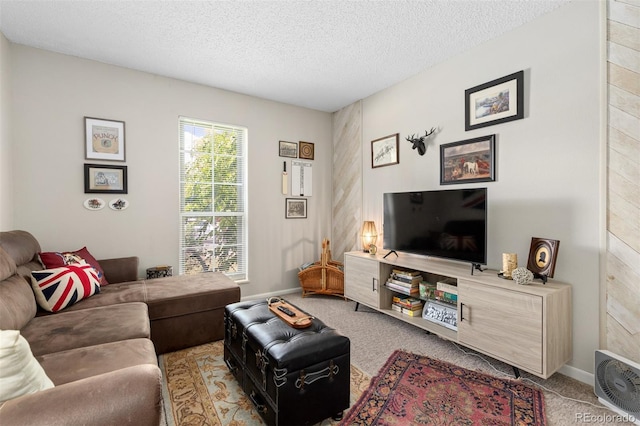 1204 Catalpa Cir, Broomfield, CO 80020 - carpeted living area with a textured ceiling and baseboards