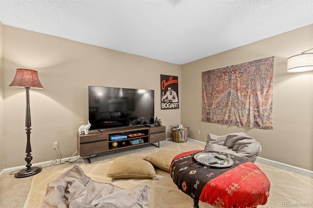 1204 Catalpa Cir, Broomfield, CO 80020 - carpeted living area with baseboards and a textured ceiling