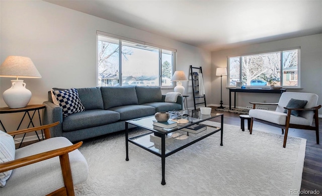 living room featuring hardwood / wood-style floors