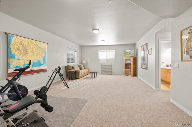 2663 Cinnabar Rd, Colorado Springs, CO 80921 - workout area featuring baseboards and light carpet