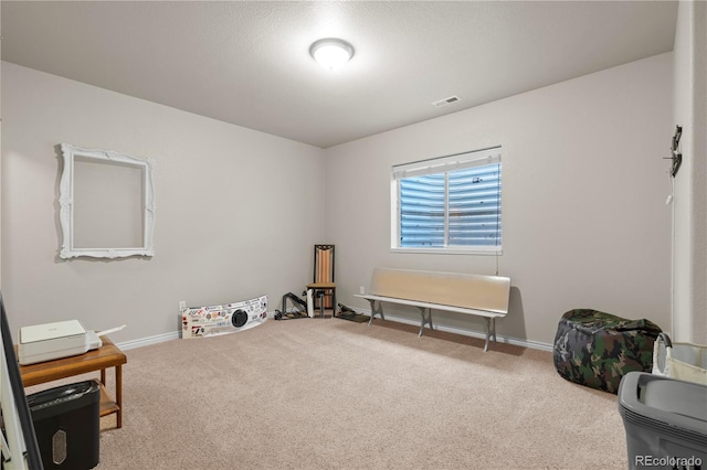 2663 Cinnabar Rd, Colorado Springs, CO 80921 - miscellaneous room with carpet floors, baseboards, and visible vents