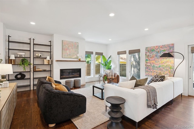 2377 S Humboldt St, Denver, CO 80210 - living area featuring dark wood-style floors, recessed lighting, and a glass covered fireplace