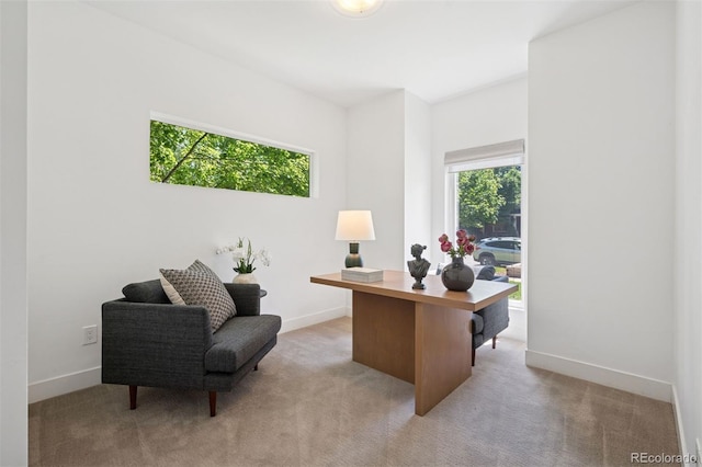 2377 S Humboldt St, Denver, CO 80210 - office featuring light colored carpet