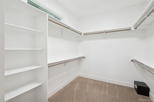 2377 S Humboldt St, Denver, CO 80210 - walk in closet with carpet flooring
