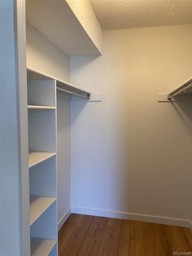 walk in closet featuring dark hardwood / wood-style flooring