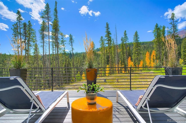 257 Barton Ridge Dr, Breckenridge, CO 80424 - photo 13