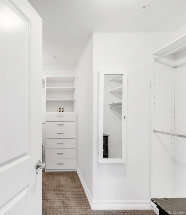 2990 E 17th Ave Unit 1204, Denver, CO 80206 - photo 36