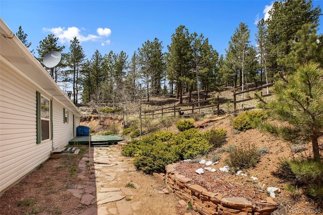 1011 W Bison Creek Trl, Divide, CO 80814 - photo 3